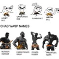Chad wasp names