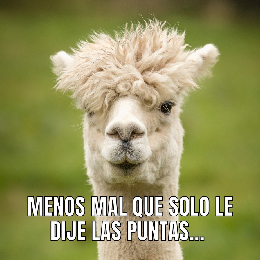 Literal xd - meme
