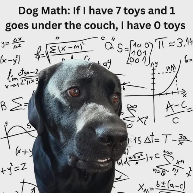 ﻿Dog Math: If have 7 toys and 1 goes under the couch, have 0 toys J= 4 T1 =3,44 (-yl {x= tgx-2 s bix X >1 8 Ke Xi 45 At_ T-z 4 xh w } Xu=- Ekx-ml ~Clcc #y=z n-Q 6+(4-c)