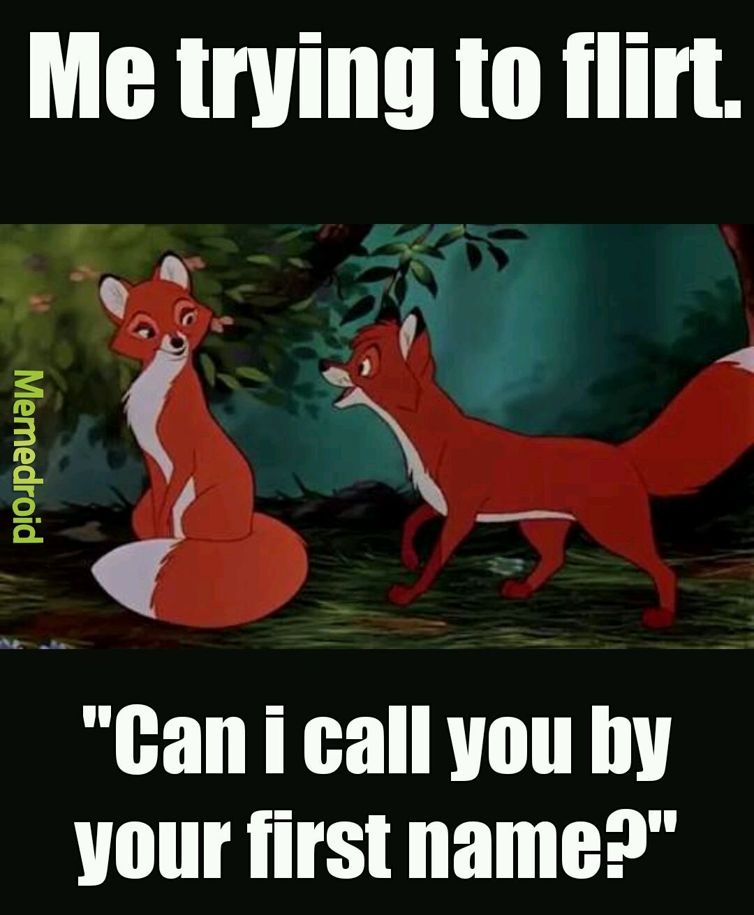 The fox and the hound if you didn't know. Also upvote last comment to 1000 - meme
