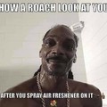 Cock roaches are niggas too ya know