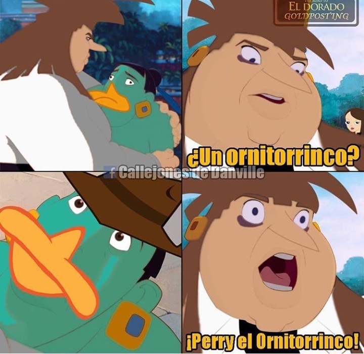 Perry el ornitorrinco!!!! - meme