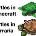 minecraft or terraria turtles which is worse