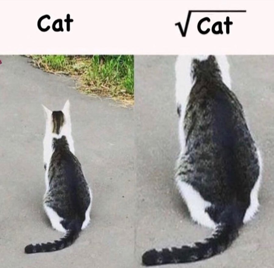 Lololol - meme