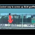 Blm trolling