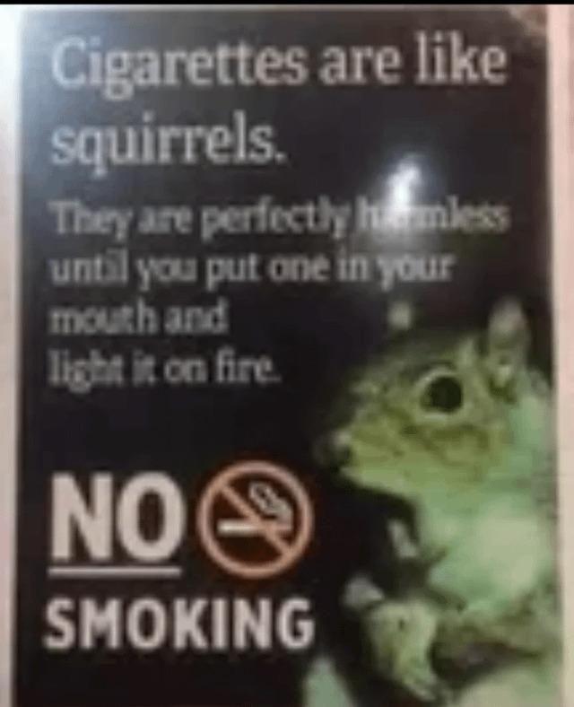 NO SMOKING - meme