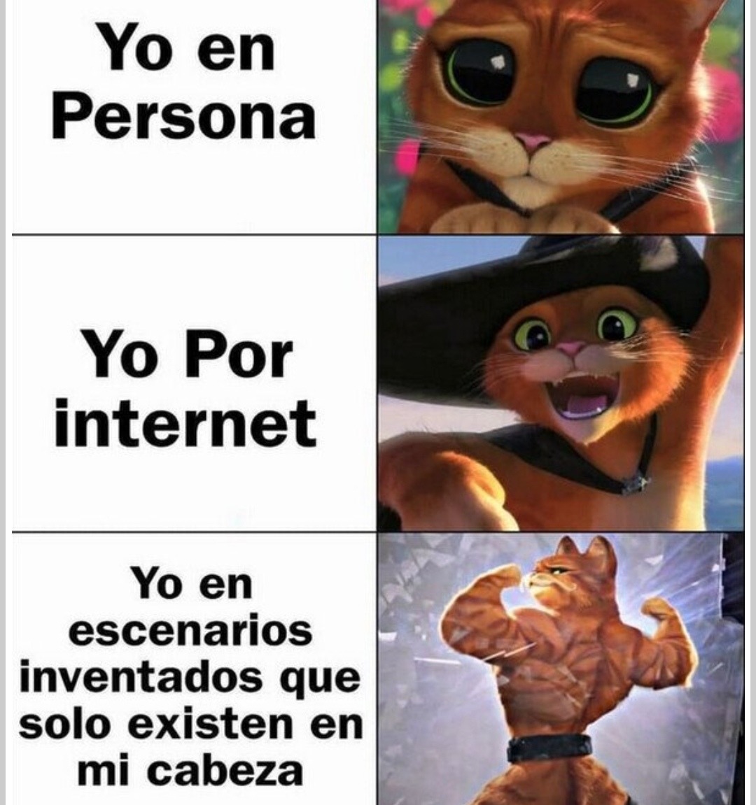 Yo en persona, yo por internet y yo en mi cabeza: tres versiones del caos - meme