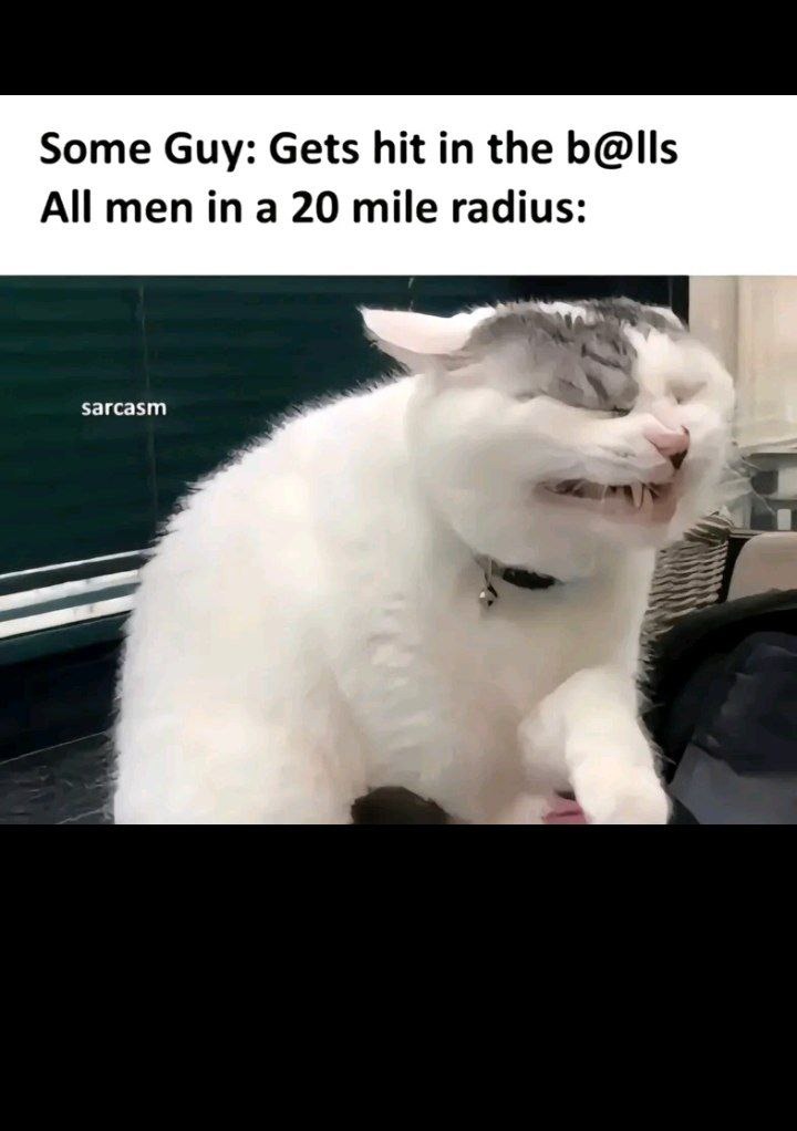 One guy gets hit and every man in 20 miles feels it - meme