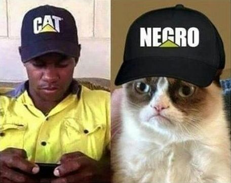 Cat / negr - meme
