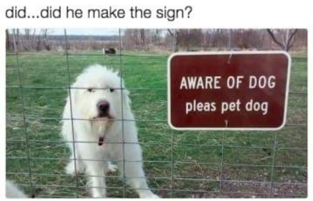 Smart doggo - meme