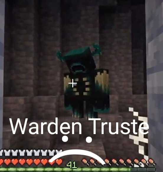 Warden truste :( - meme