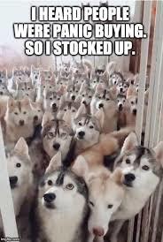 how many huskies do you own - meme