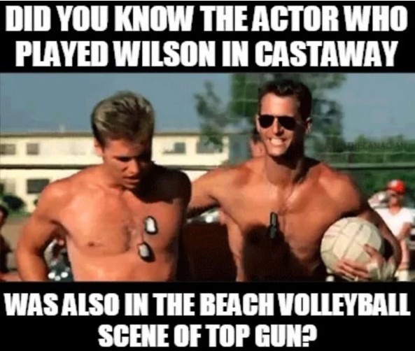 Meme of the actor who plays Wilson in Castaway and who also plays the volleyball guy in Top Gun