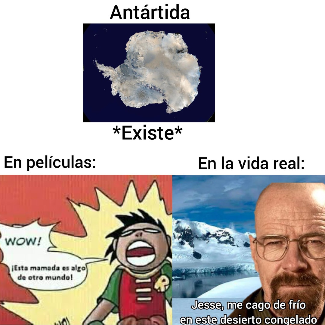 Otro meme de la Antártida