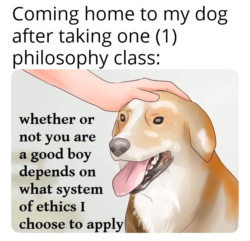 Me: Who's a good boy? Dog: Is morality subjective or objective? - meme