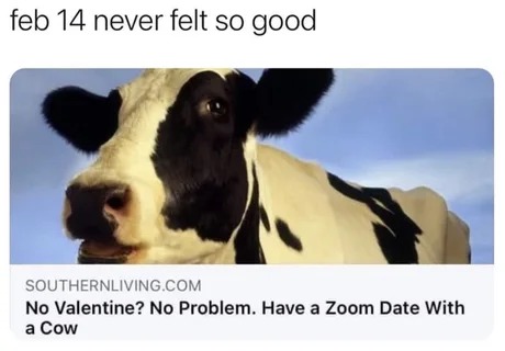 Funny Valentine's Day meme 2024