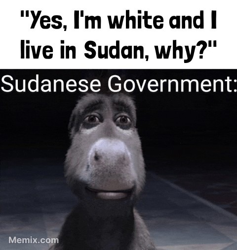 Before down vote, see what "Sudan" means. - meme