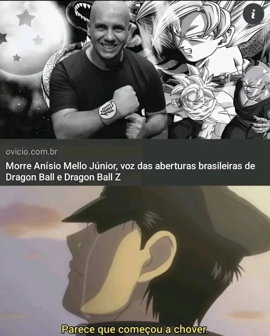 Sei que já faz um tempinho, mas não vi ninguém falando sobre, então foda-se - meme