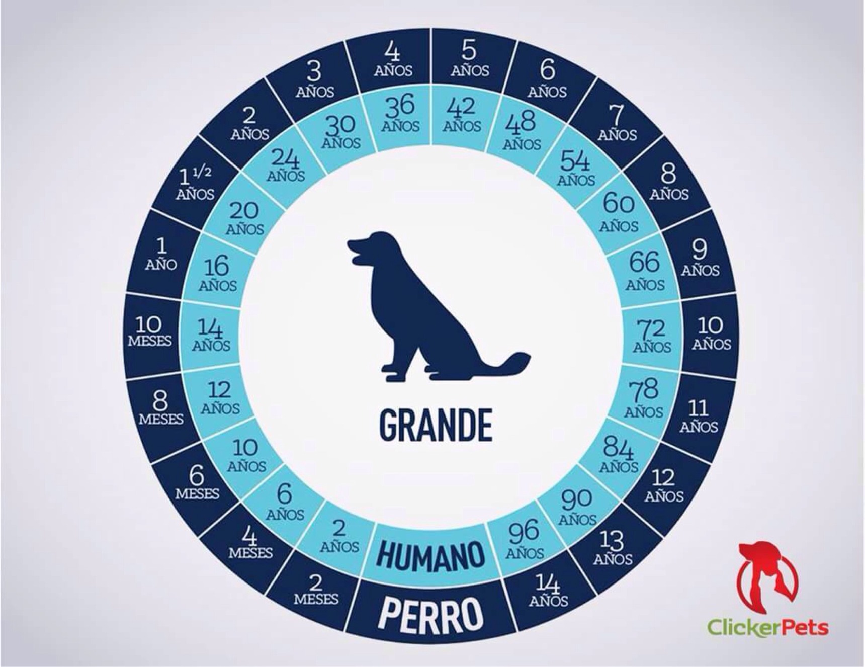 Edad de perro en años humanos