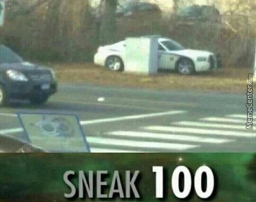 Sneak level 100 - meme