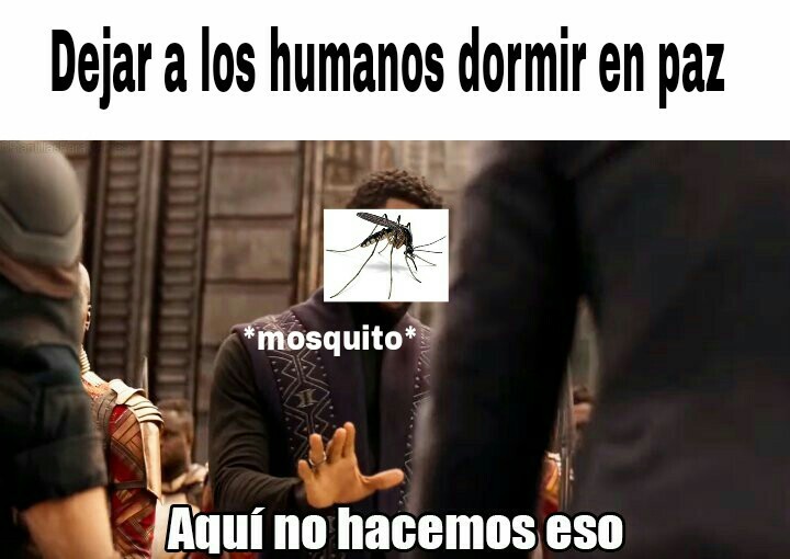 El título está siendo picado por mosquitos - meme
