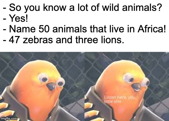 50 Animals that live in Africa - meme