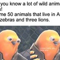 50 Animals that live in Africa