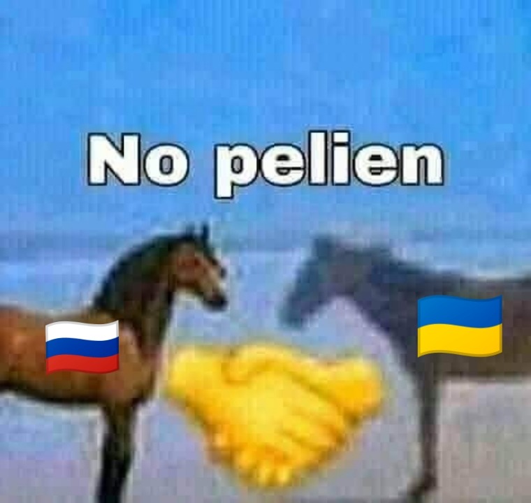 No pelien  - meme