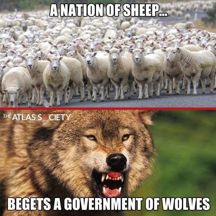 Government Wolves - meme