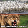 Government Wolves