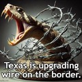 Texas upgrading wire on the border