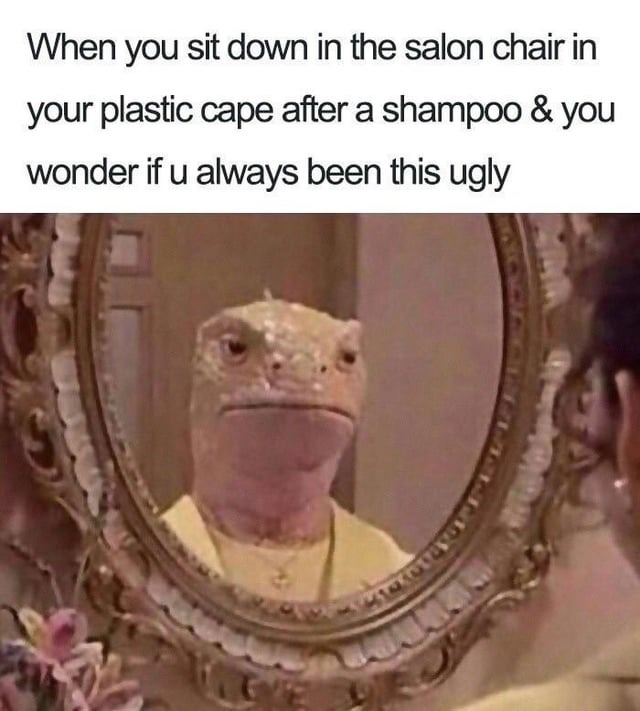 Am I this ugly? - meme
