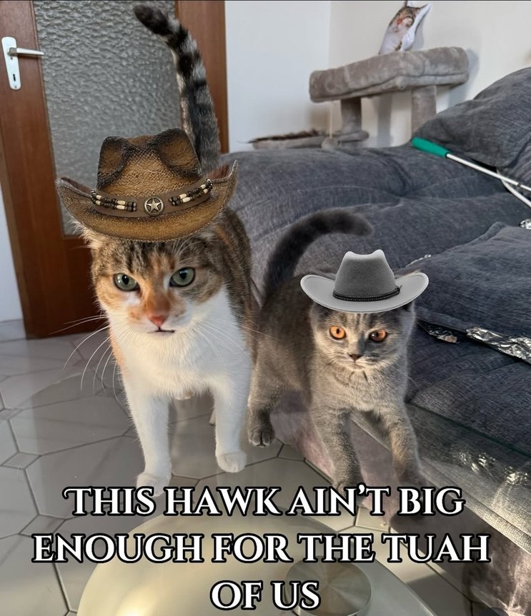 Title - meme