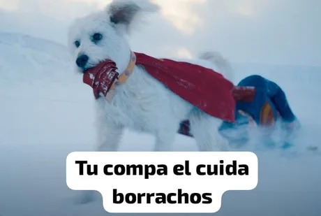 El amigo que no bebe y cuida borrachos - meme