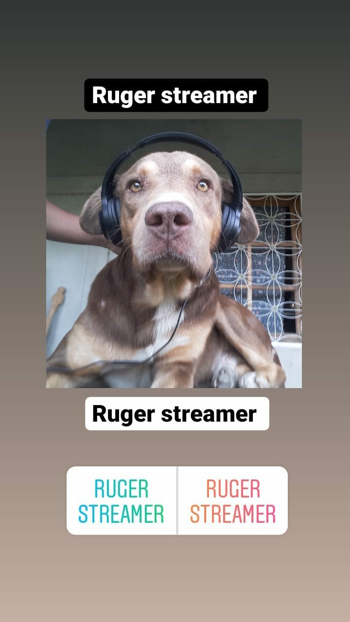 Ruger Streamer - meme