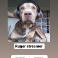 Ruger Streamer