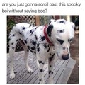 A wave of spooks
