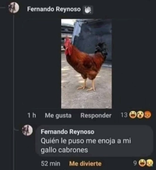Me enoja - meme
