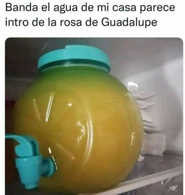 El agua de mi casa parece intro de la rosa de Guadalupe - meme