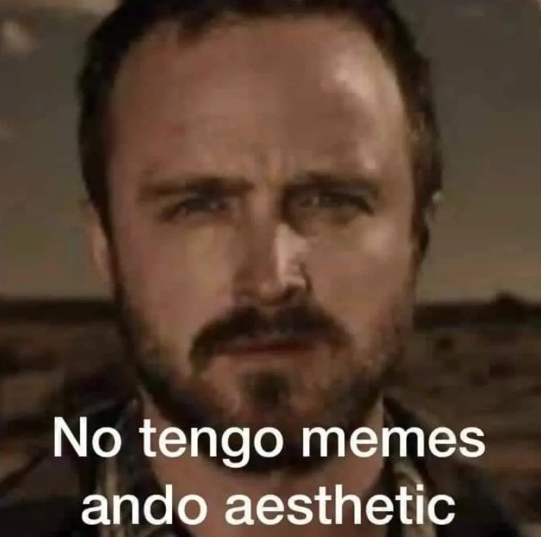 Yo después de mandar como 20 momos a moderación: - meme