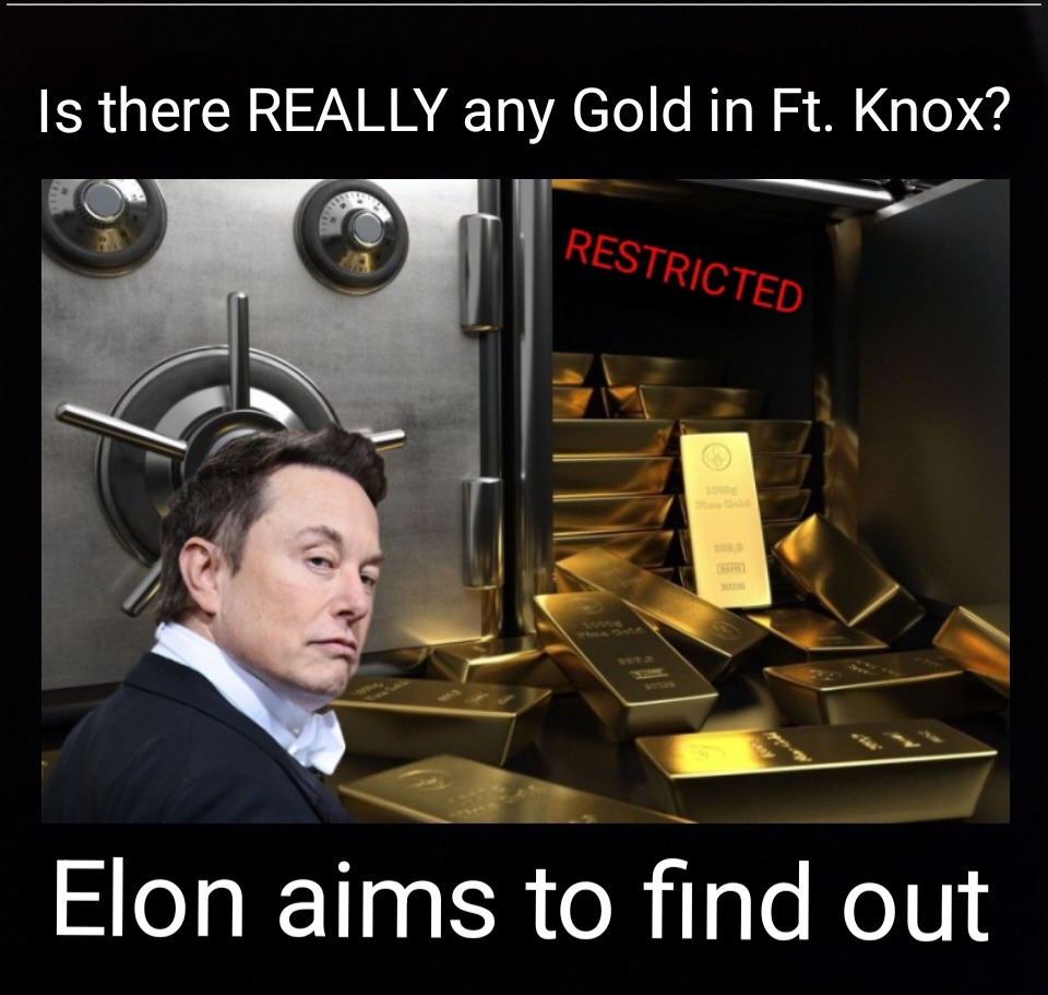 DOGE Audit Up Next - meme