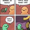 turtle stuff