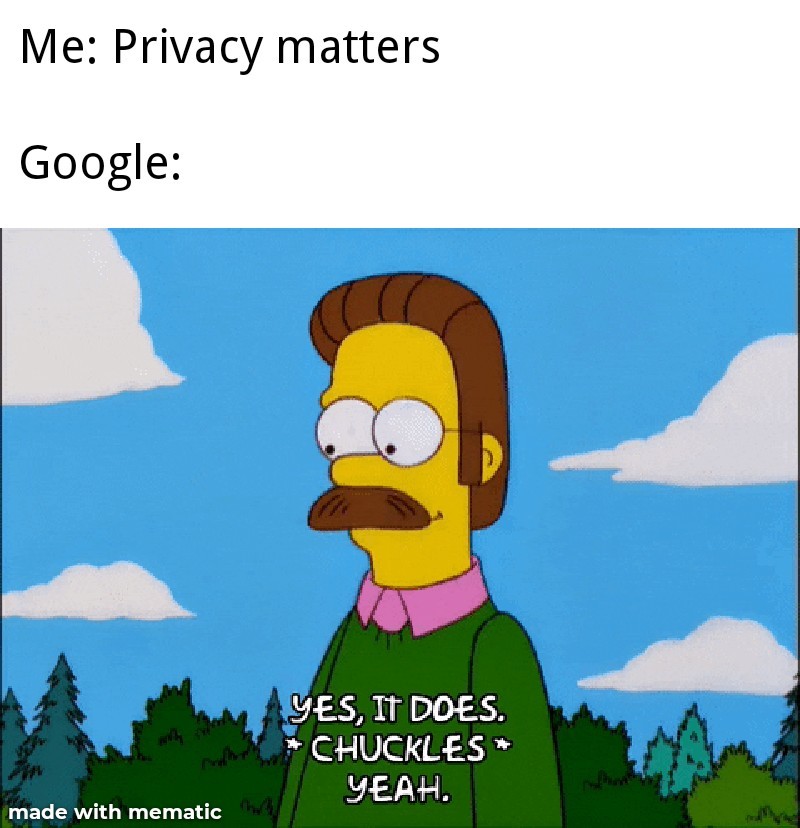 Privacy Vs Google - meme