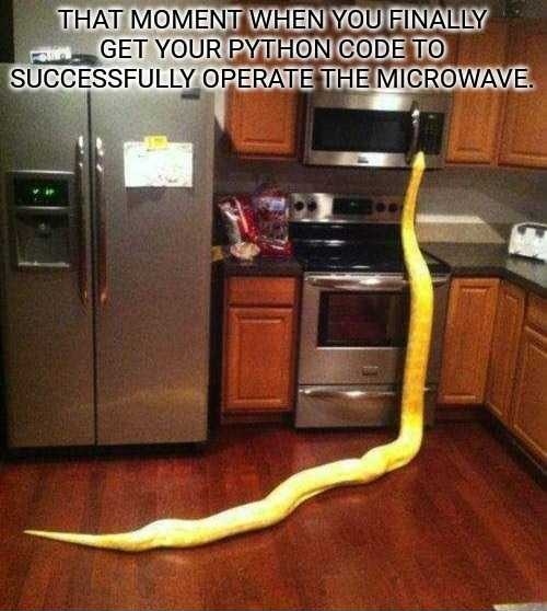 Python - meme