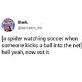 Spiders love soccer