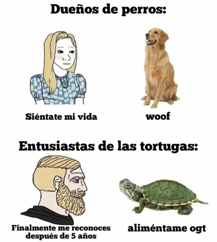 Una vrga tener una tortuga - meme