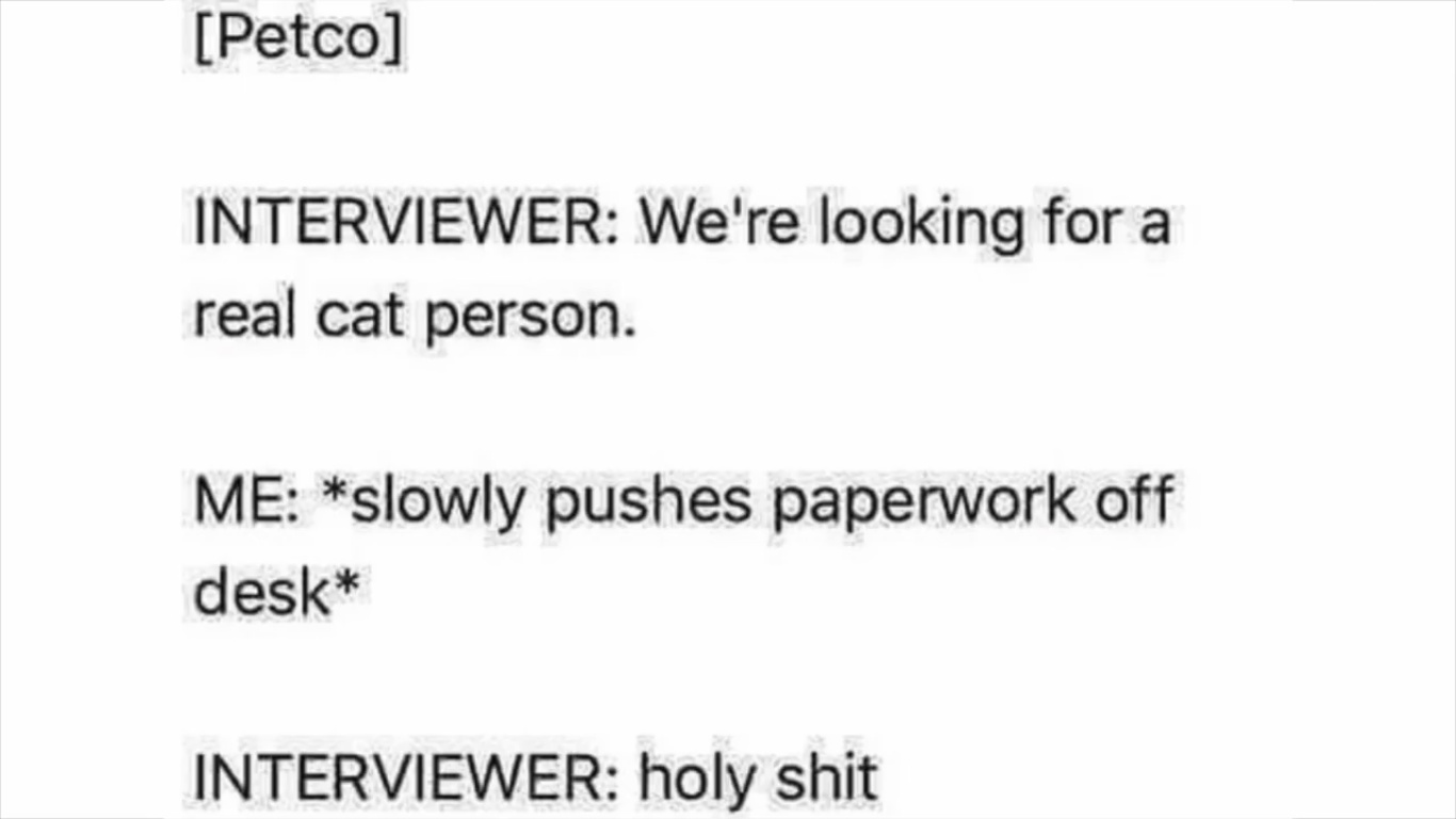 Real Cat Person - meme