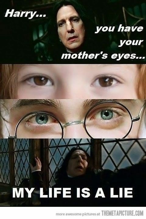 Fãs de Harry Potter - Brasil - Como eu nunca percebi isso? 😮 Via Memes do Harry  Potter