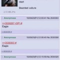 Needs more eagle