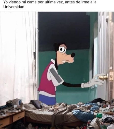despedida oficial cama - meme